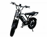 SAMIK BK20