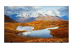 Телевизор LG 50UR801C