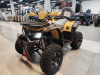 Квадроцикл GT 200 Comfort (200 кубов)