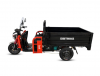 Грузовой трицикл WHITE SIBERIA SIBTRIKE CARGO 1500 кг 1.6