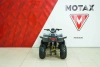 Квадроцикл бензиновый MOTAX GRIZLIK RAPTOR D125