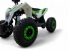 Детский электрический квадроцикл MOTAX GEKKON E1300 Белый-Зеленый