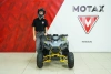 Квадроцикл бензиновый MOTAX GRIZLIK RAPTOR D125