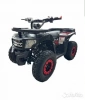 Электроквадроцикл ikingi