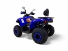 Квадроцикл бензиновый MOTAX  GRIZLIK 200 ULTRA Синий