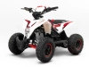 Детский электрический квадроцикл MOTAX GEKKON E1300 Белый-Красный