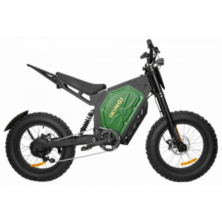 Электровелосипед IKINGI EBA 219 1000W (black)