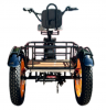 Электротрицикл Kugoo Trike