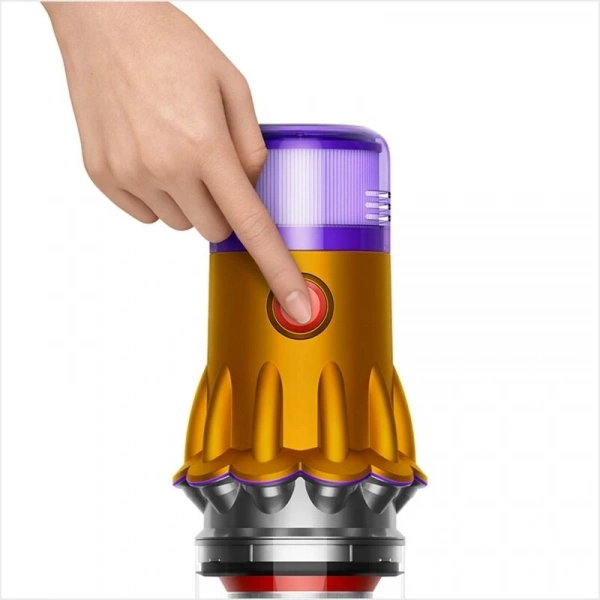 Dyson V12s DT SV46 