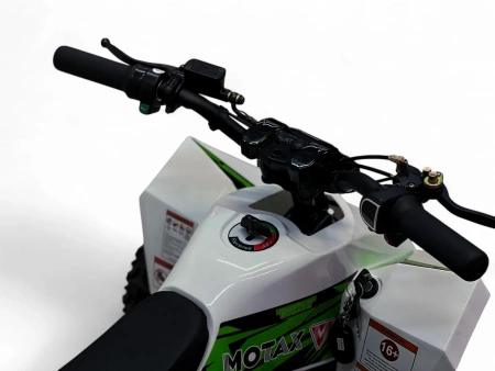 Детский электрический квадроцикл MOTAX GEKKON E1300 Белый-Зеленый