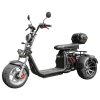 ЭЛЕКТРОСКУТЕР IKINGI X12 PRO TRIKE