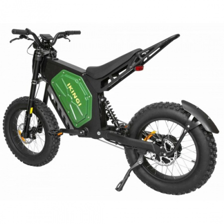 Электровелосипед IKINGI EBA 219 1000W (black)