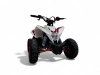 Детский электрический квадроцикл MOTAX GEKKON E1300 Белый-Красный