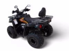 Квадроцикл бензиновый MOTAX  GRIZLIK 200 ULTRA Черный