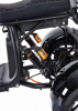 ЭЛЕКТРОСКУТЕР GT X12 TRIKE
