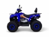 Квадроцикл бензиновый MOTAX  GRIZLIK 200 ULTRA Синий