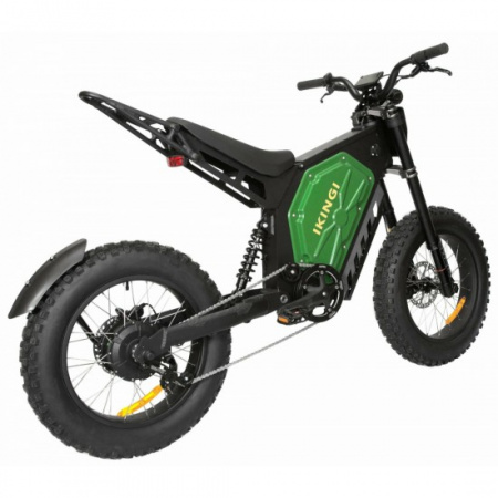 Электровелосипед IKINGI EBA 219 1000W (black)