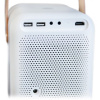 Xiaomi Wanbo Projector T6 Max