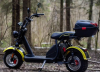 Электроскутер siberton PRO 2500W 10