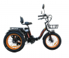 Электротрицикл Kugoo Trike